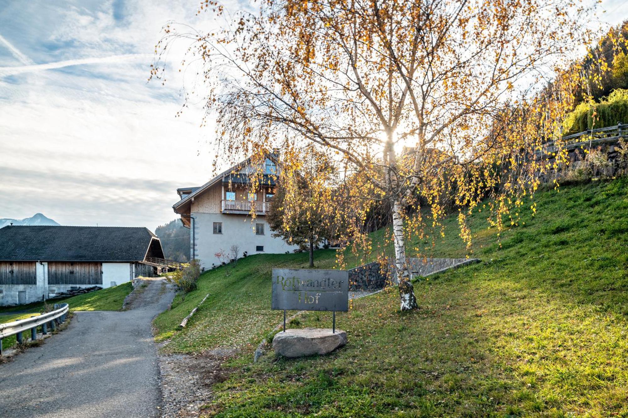 Rotwandterhof Wohnung Bienenstock Barbiano  Exterior photo
