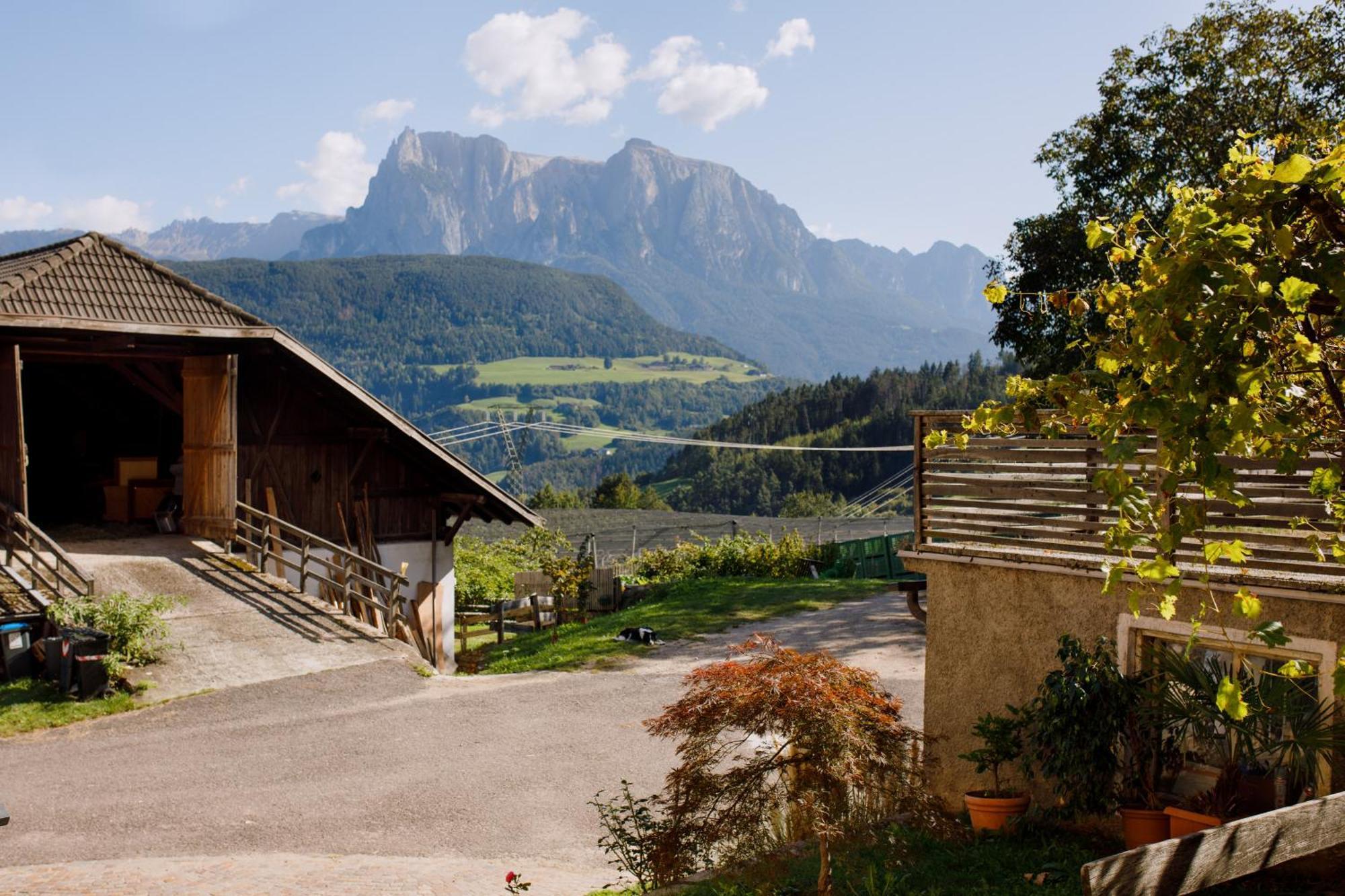 Rotwandterhof Wohnung Bienenstock Barbiano  Exterior photo